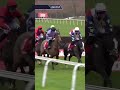 Horse loses nearly 10mph of speed after mistake 👀