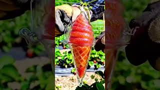 Fruit shapping #funny #cartoon #ai #aiart #creation