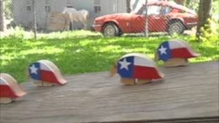 Armadillo Ramp Walker Race