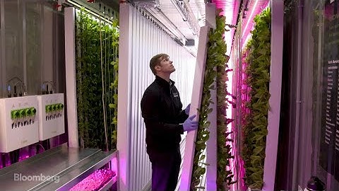 Eco-Friendly Farming in a Shipping Container