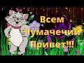 Лови Приветик! Улыбнись Мне! Как Твои Дела? Прикольная и Позитивная Музыкальная Открытка для Тебя!