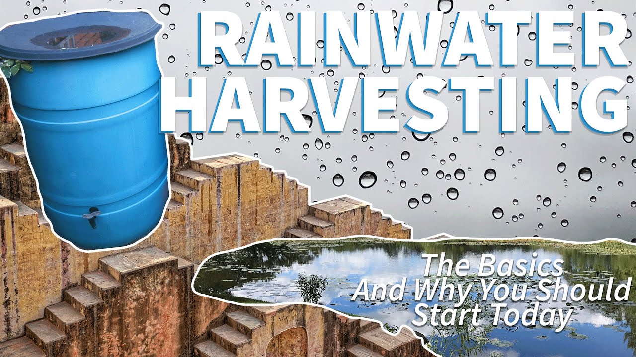 Rainwater Harvesting 🌧️ YouTube