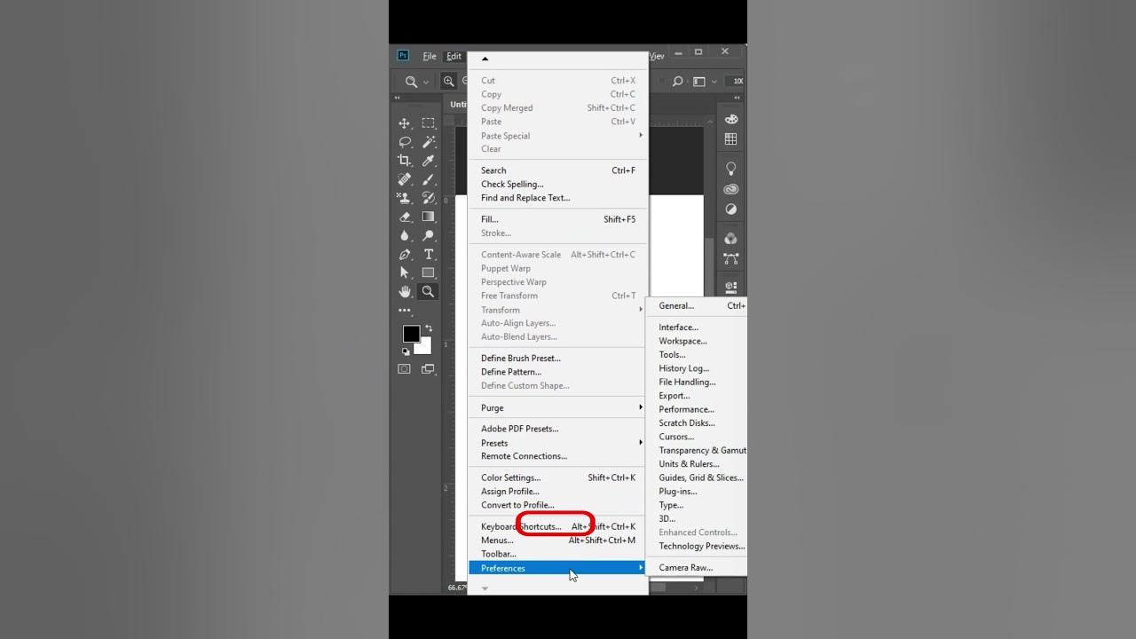 Adobe ( Ctrl+ Space) zoom in and zoom out problem solved! 