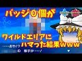 【ポケモン】ソード・シールド買ったけどワイルドエリアが楽しすぎてジム戦ができない件　【ゆっくり実況】