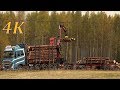 Volvo Truck FH16 - timber loading - 4K real time video - tukkirekan lastaus