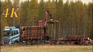 Volvo Truck FH16  timber loading  4K real time video  tukkirekan lastaus