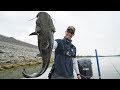 Huge Catfish! - Fishing Rocks with Diving Plugs