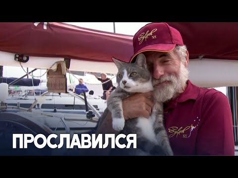 Корабельного кота Оли встретили на берегу поклонники