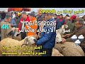 أثمنة الغنم والبقر والماعز واللحوم والخضر سوق الأربعاء صوريا مكناس اليوم 06052026 mp3