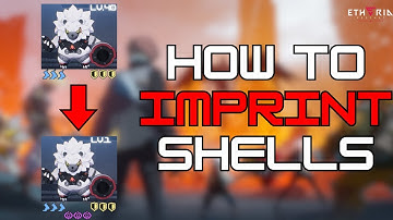 HOW TO IMPRINT SHELLS?!