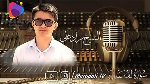 Hafız Murat Ali Nematov , Lokman suresi (1-19) / القارئ مراد على سورة لقمان ١-١٩ (@MurodaliTv )