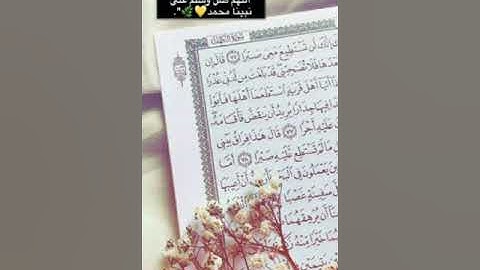 سورة الأحزاب للشيخ احمد فهيم
