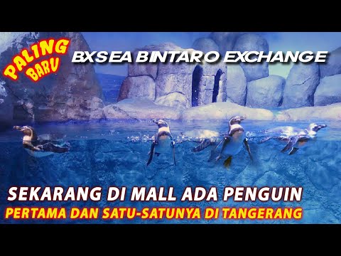 BXSea Aesthetic Spots: Hidden Gems Revealed