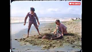 Reviviendo el Pasado: La Región de Coquimbo en Colores 1936-1940