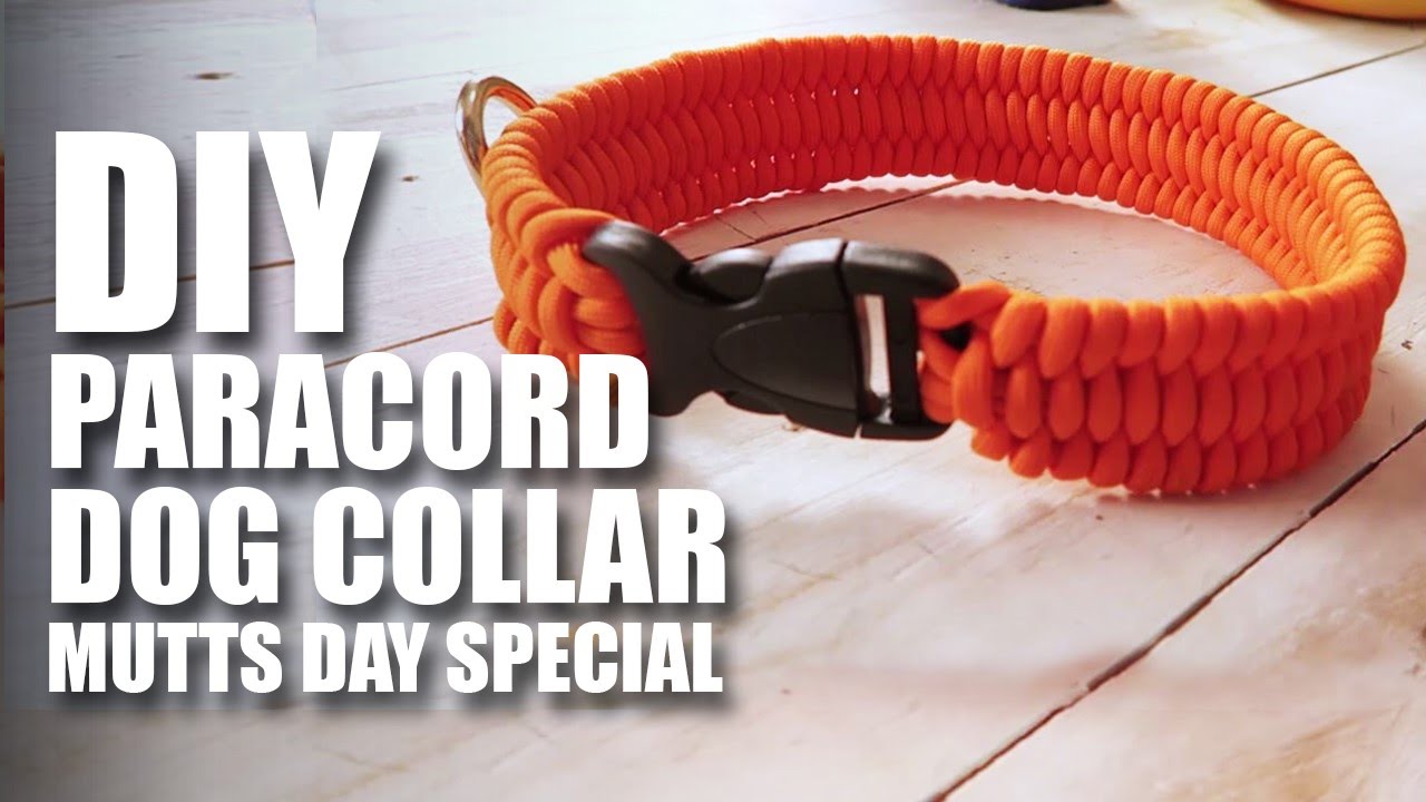 How to make a DIY Paracord Dog Collar