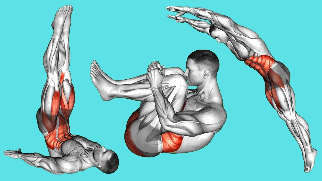 Beginner Core Routine for Back Pain & Stability.