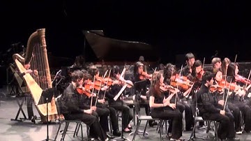 BHS Adagio molto for Harp and Strings