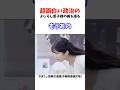 小林よしのり氏　愛子様の美　#政治系