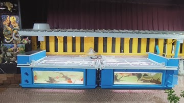 NC. World พระราม 2 - วันนี้มีสมาชิกใหม่ ปลามังกรแดงใหญ่จากคุณมีน และ Update แดงสวยของคุณอั๋นครับ :)