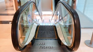 【エスカレーター 東芝製】浜松駅前 メイワン 西側 降り 3→B1階  TOSHIBA Escalator at May One Hamamatsu Station in Japan