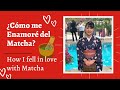 ¿Cómo me enamoré del Matcha? How I fell in love with Matcha?