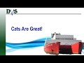 SECRET of Why Catamarans Are Great!