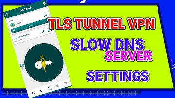 How to setup TLS tunnel vpn slow DNS server settings for Secure browsing