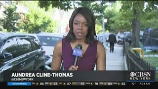 88-Year-Old Woman Violently Robbed