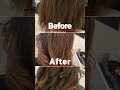 Hair Transformation Before &amp; After ✨ | AZ Hair Lounge