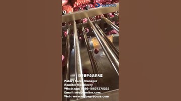 Automatic Rolling Rod Type Onion Size Grading Sorting Machine