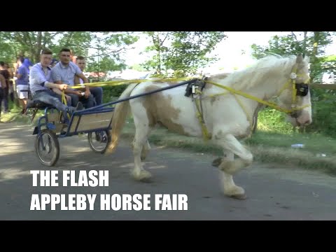 hqdefault.jpg?v=64830659