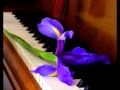 Chopin  fantasie impromptu in c sharp minor