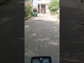 اگر لوگوں کو ان کے ظلم کے سبب پکڑا جائے
