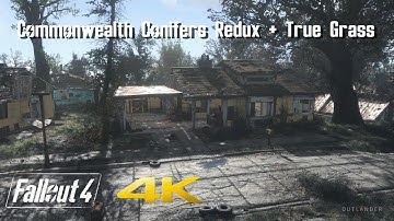 Fallout 4 Mod Showcase in 4K - Commonwealth Conifers Redux + True Grass