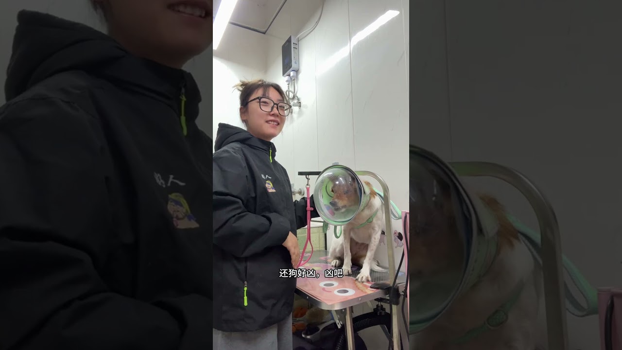 I m determined not to have any internal conflicts. My owner accompanied me throughout