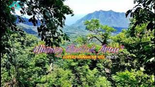 Lagu joget terbaru MINANG MUDIAK ARAU Rmx 2023