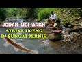 mancing di sungai yang jernih ikannya uceng dan wader pakai joran lidi aren lanjutan channa limbata