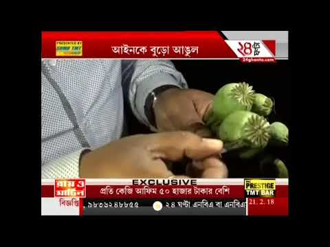 ভিডিও: পোস্ত বীজ সহ ফলের সালাদ