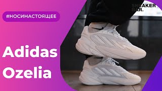 Adidas Ozelia White (H04251) Onfeet Review | sneakers.by