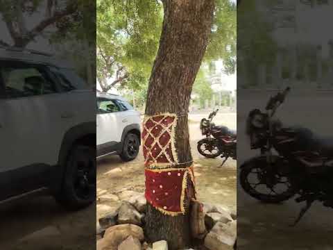 gaon ki desi video #comedy #bhojpurilove #funny #comedy #funny @shashipathakofficial4036