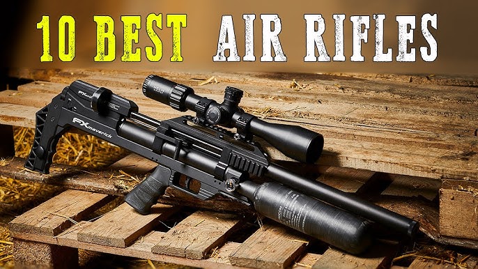 TOP 5 Best Affordable Air Rifles 2024 - What No One is Telling You! 