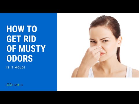 Video: How To Get Rid Of Humidity And Dampness In An Apartment Or House, As Well As From The Accompanying Smell, How To Eliminate It And Useful Tips