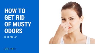 How To Get Rid Of Musty Odors or Smell - Is It Mold?