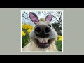 рќ џрќ рќ Єрќ рќ рќ рќ µрќ µ рќ рќ Ірќ µрќ µрќ Ірќ Єрќ рќ ј рќ Їрќ рќ рќ рќ љгЂЋрќ ўрќ рќ рќ рќ рќ ѕрќ рќ Ўрќ рќ їрќ рќ рќ гЂЏ рќ џрќ рќ Єрќ рќ рќ рќ µрќ µ рќ рќ Ірќ µрќ µрќ Ірќ Єрќ рќ ј рќ Їрќ рќ рќ рќ љгЂЋрќ ўрќ рќ рќ рќ рќ ѕрќ рќ Ўрќ рќ їрќ рќ рќ гЂЏ