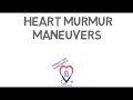Heart Murmur Maneuvers
