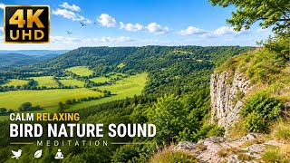 4K UHD Relaxing Nature Sounds 🌿 Birdsong for Deep Sleep, Meditation & Stress Relief