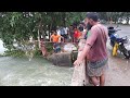 প্রতিটানে রুই কাতলা মাছ।।Catching roi katla (part-1)