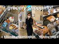 Grocery Shopping & Kitchen Organizing! | MOVING VLOG 8