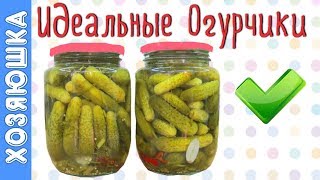 видео Как вырастить вкусные огурцы