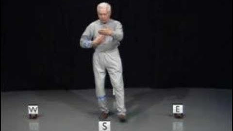 Internal Discipline in Classical Tai Chi-Master Stephen Hwa